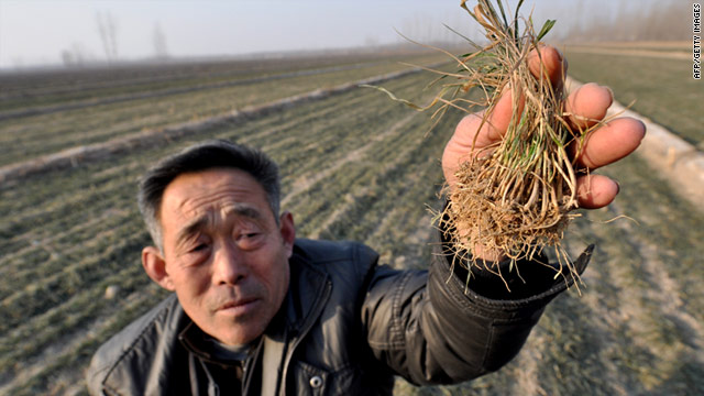 A Chinese farmer holds up dried seeds at his drought-stricken fields in China's Shandong province.
