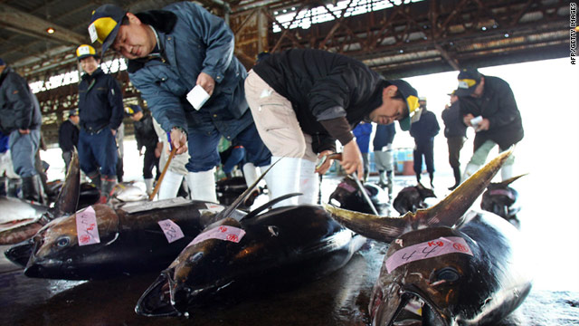 Japanese fishermen rage against nuclear plant owner
