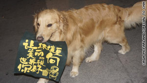 Shunliu demonstrates his fetch ability in Shenzhen, China.