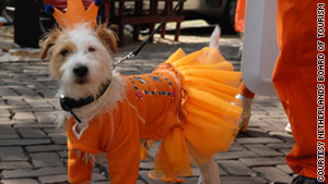 Colorful craze at Queen's Day in Holland