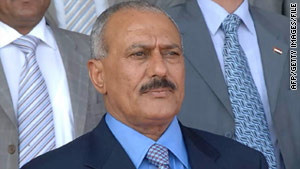 Some Yemeni demonstrators are demanding that President Ali Abdullah Saleh step down, while others want him to stay.