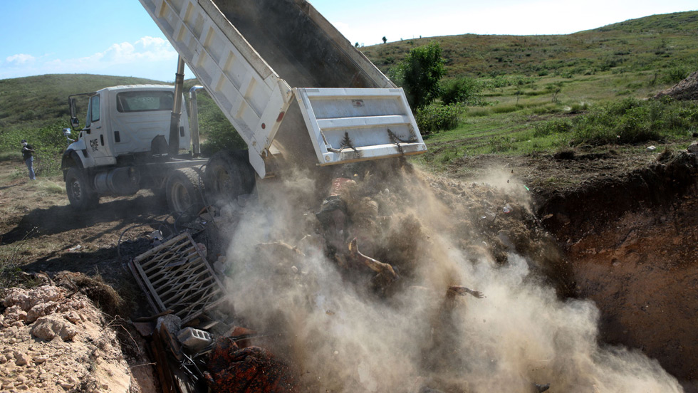 Haiti earthquake: Photos