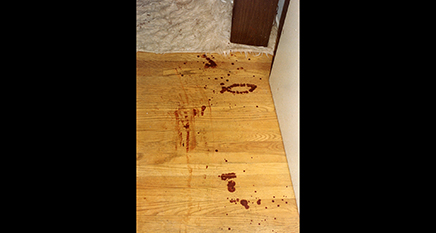 Police found blood spatter everywhere in the Bishops’ Bethesda home.