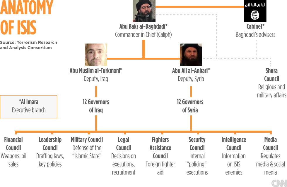 Cnn Organizational Chart