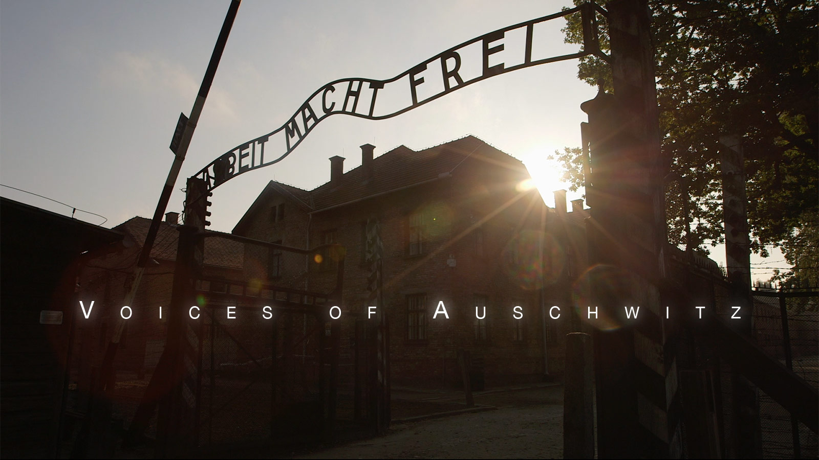 Voices Of Auschwitz