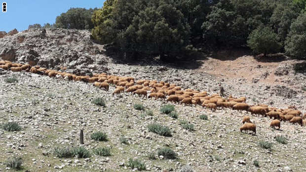 منظر عام للبلدة