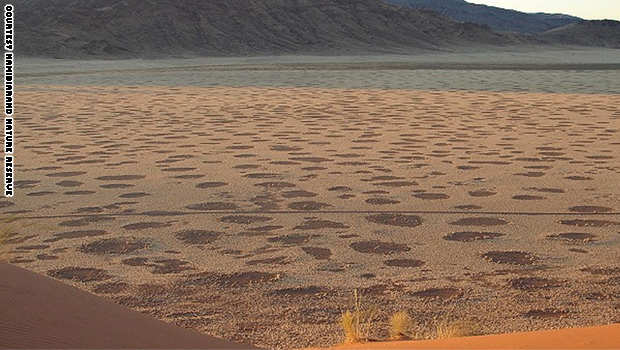 من يشكل "دوائر الجن بصحراء ناميبيا؟
