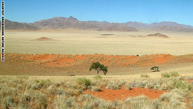 من يشكل "دوائر الجن بصحراء ناميبيا؟