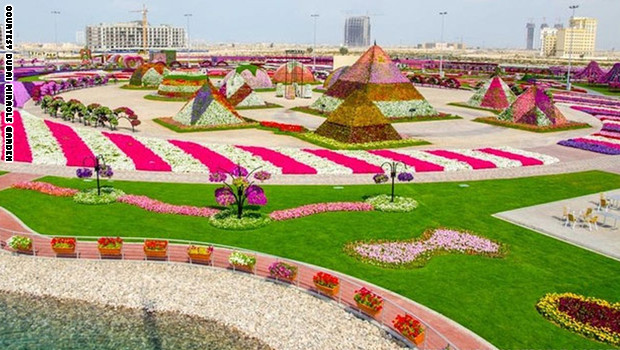 صور لحدائق ورود . روووعة  Miracle_garden3