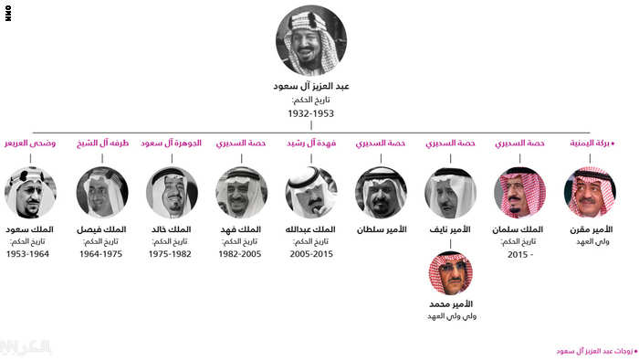 وفاة خادم الحرمين الشريفين الملك عبدالله بن عبدالعزيز , الله يرحمه ويحسن إليه ويجعل مثواه الجنة Saudi_tree