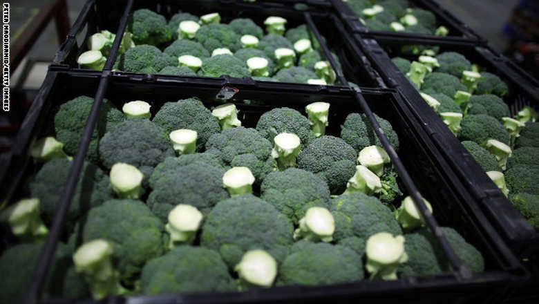 بالصور..أفضل وأسوأ الأطعمة لمحاربة الأمراض