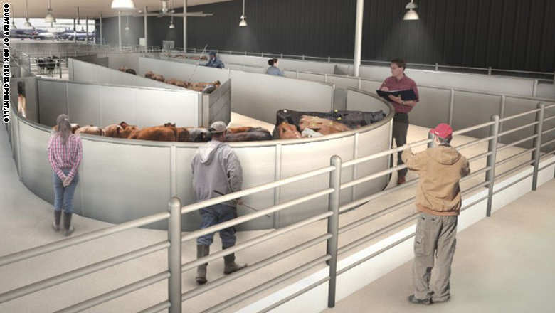 محطة مطار فاخرة ببركة سباحة وخدمة تدليك..الأولى من نوعها عالمياً للحيوانات فقط