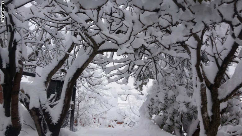	صور الثلوج في بلاد الشام 4_211