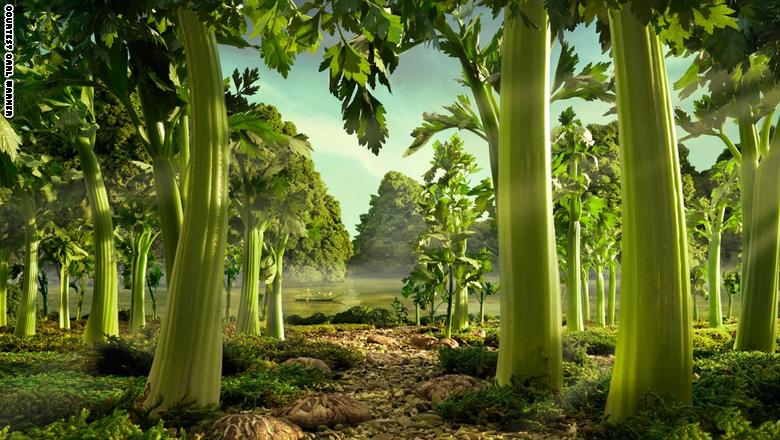 نقره لعرض الصورة في صفحة مستقلة