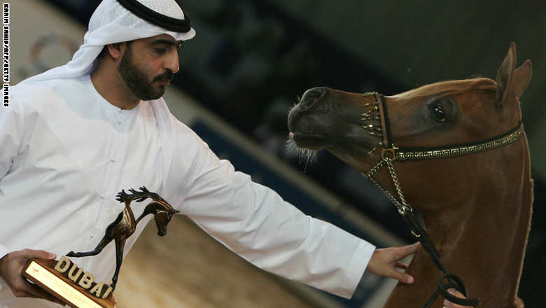 كيف يتم اختيار أجمل الخيول العربية؟