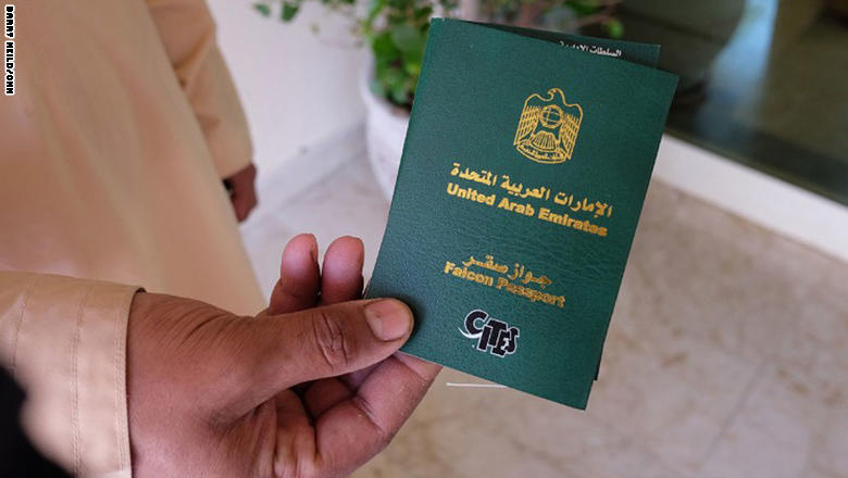 عالم لم تره من قبل.. داخل أضخم مستشفى للصقور في العالم