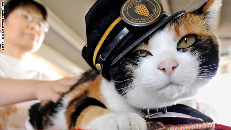 اليابان تودع القطة تاما ناظرة محطة القطار Untitled-1_26