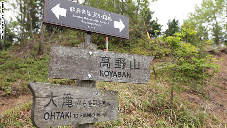 تعرّف إلى الديانة التي كانت محرمة على النساء 