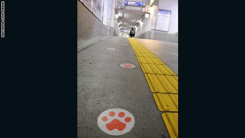 اليابان تودع القطة تاما ناظرة محطة القطار Untitled-7_4