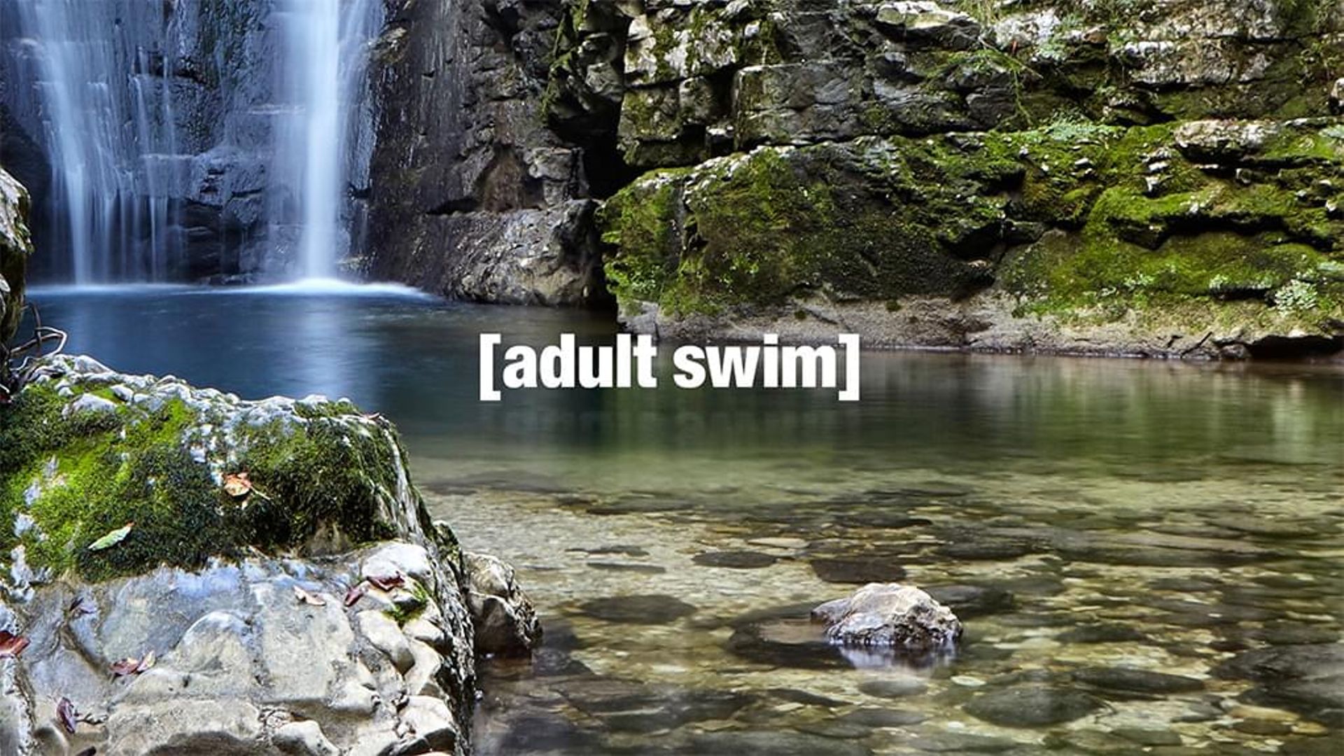 adult swim livestream