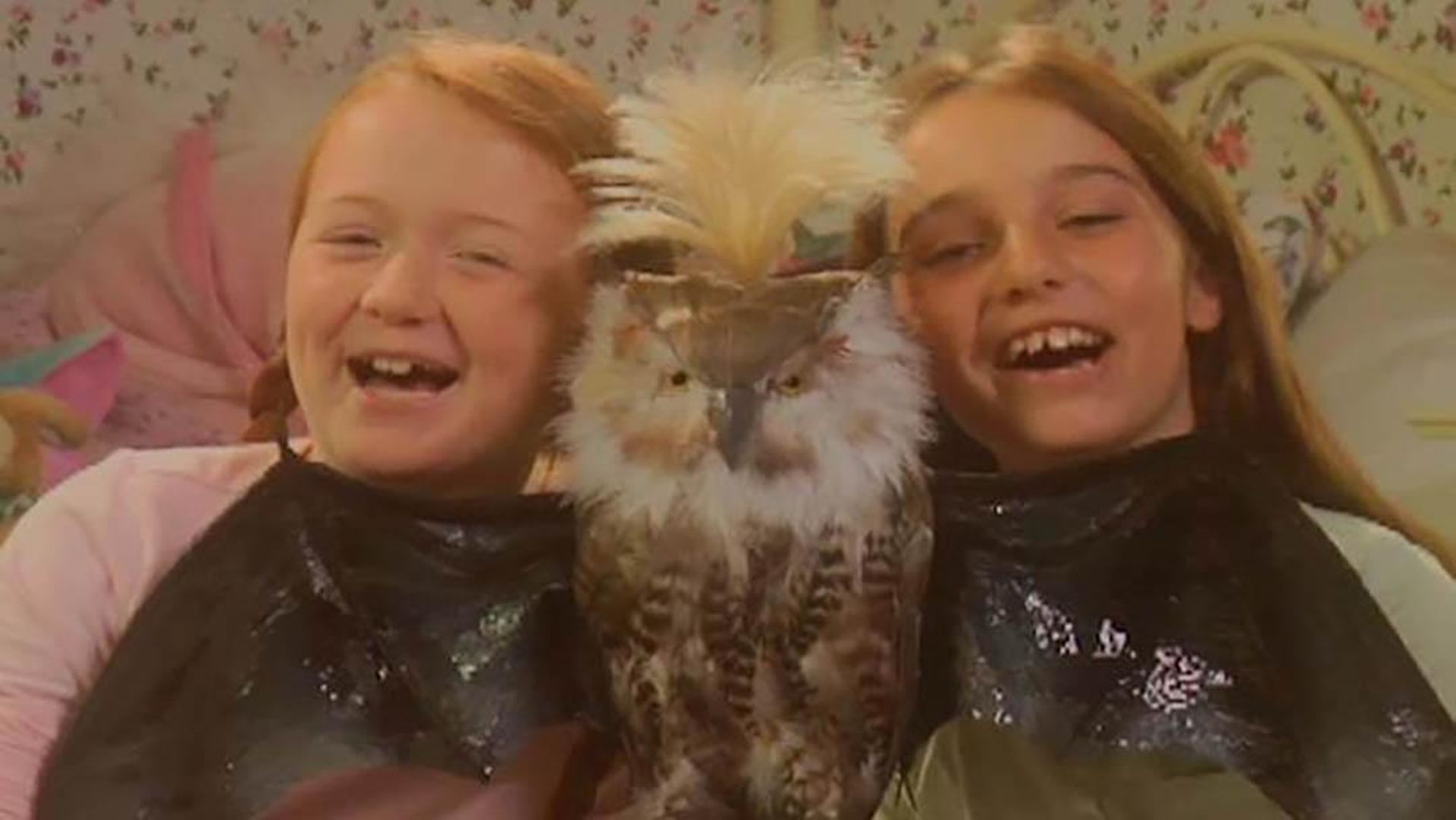 B'owl! - S1 EP1 - Tim And Eric Awesome Show, Great Job!