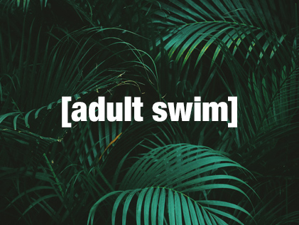Adult Swim Schedule