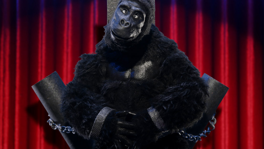 King Kong�s Walk S8 EP6 Robot Chicken