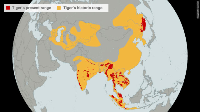 World Map Of Tigers - Dolley Hollyanne