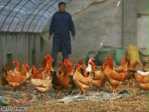 الصين تعلن عن حالة وفاة ثالثة بإنفلونزا الطيور