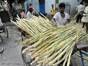 الجفاف سيؤثر على ناتج الهند من السكر وقد يدفعها للإستيراد