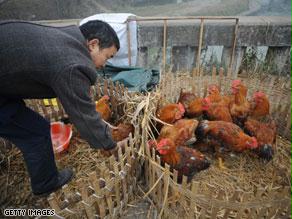 أعدمت الصين الآلاف من الطيور الداجنة تحسباً من انتشار المرض