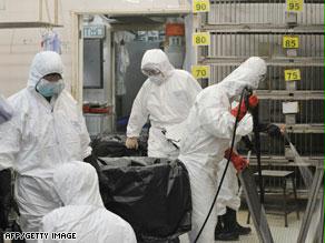 اليابان تكتشف أول سلالة لفيروس H7 منذ 84 عاماً