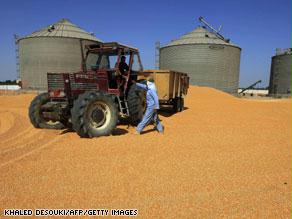 الحكومة المصرية تبحث عن أسواق بديلة لسد العجز بمخزون القمح
