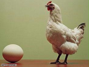 الدجاجة قبل البيضة حسبما يرجح البحث
