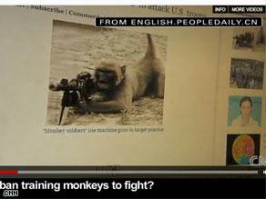 التقرير قال إن ''القردة المقاتلة'' فكرة أمريكية
