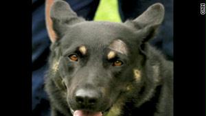 كلب الشرطة أوبي