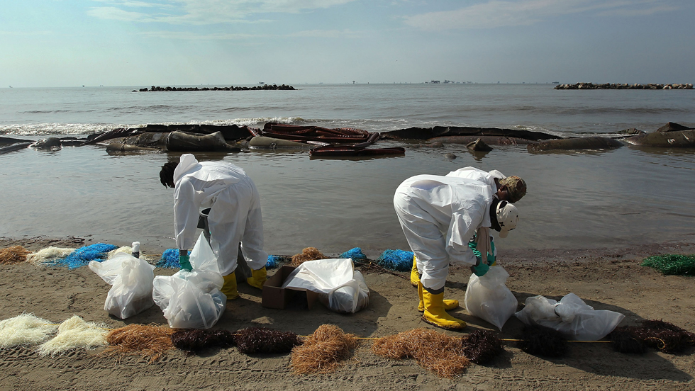 Cleanup crew. Экологические катастрофы врачи. Экологи в Америке. В Хургаде экологическая катастрофа. Синяя чума мексиканского залива фото.