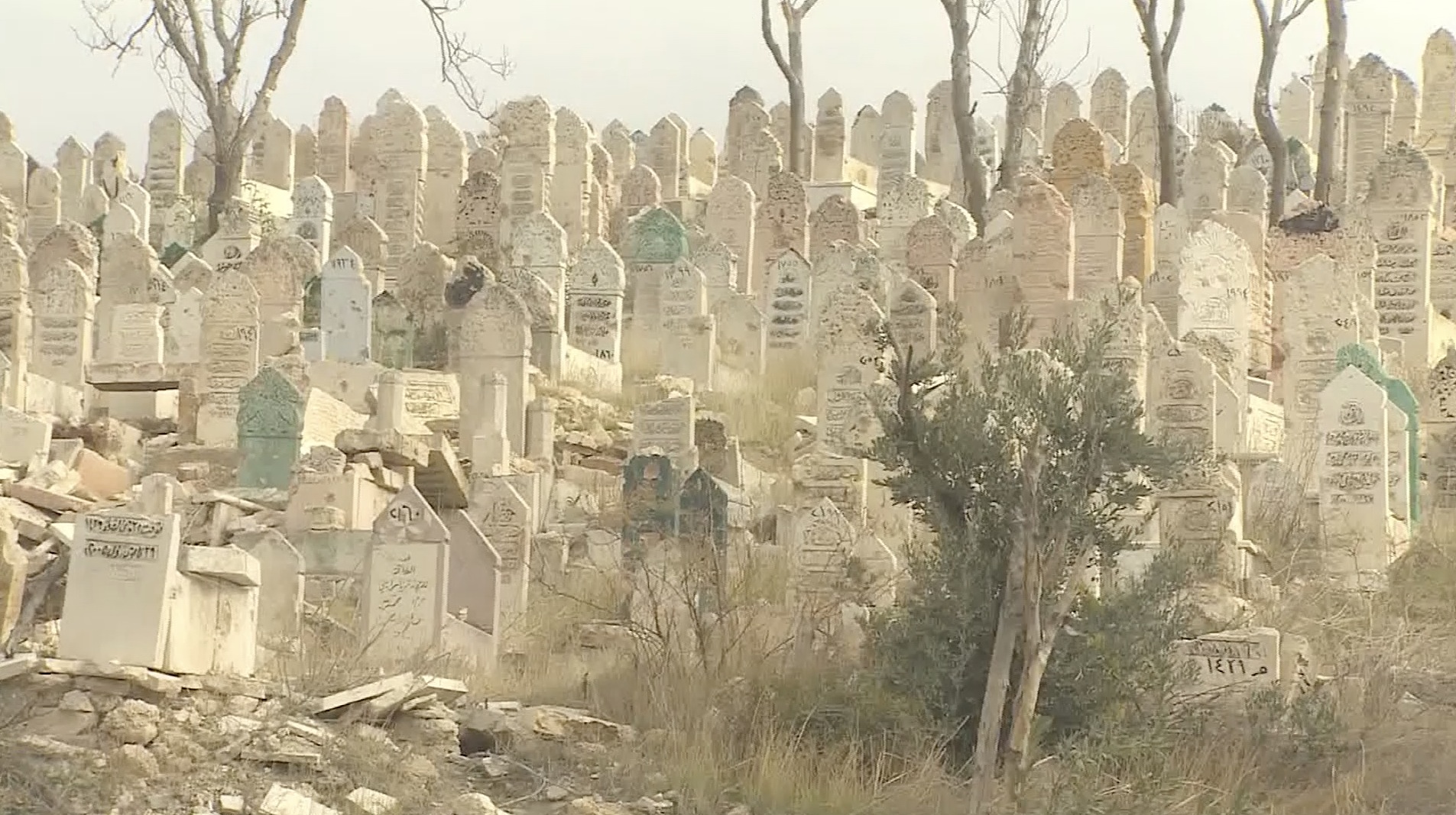 ليل حلب