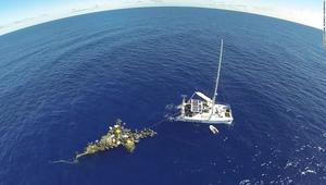 ALGALITA MARINE RESEARCH FOUNDATION