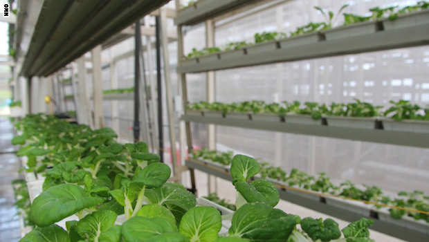 بالصور..موانئ فضائية ورعي للأبقار فوق ناطحات السحاب..هكذا سيتحول كوكب الأرض بعد مائة عام