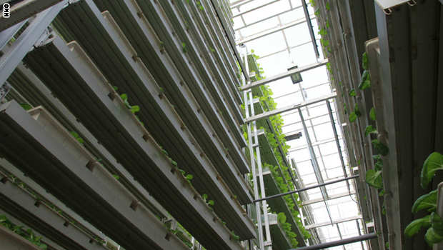 بالصور..موانئ فضائية ورعي للأبقار فوق ناطحات السحاب..هكذا سيتحول كوكب الأرض بعد مائة عام