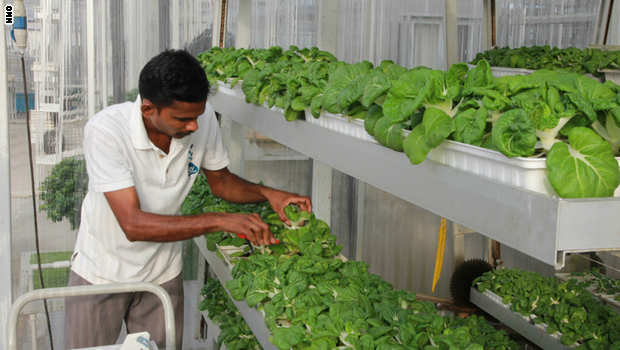 بالصور..موانئ فضائية ورعي للأبقار فوق ناطحات السحاب..هكذا سيتحول كوكب الأرض بعد مائة عام