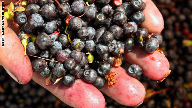 بالصور..أفضل الأطعمة المحفزة للذكاء والمجهود الفكري