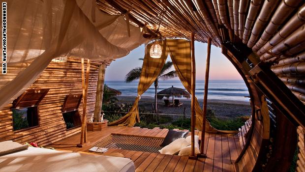 بالصور......هل ترغب بأن تسكن في هذه الشجرة؟ 2 161125171319 tree suite playa viva super 169