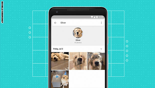 تطبيق صور غوغل يتعرف على حيواناتكم الأليفة Google-photos-pets
