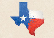 texas small business