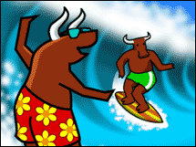 bull_surfing_wave.03.gif