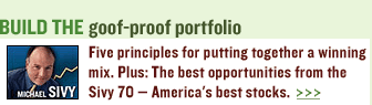Build the goof proof portfolio