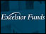 Excelsior Mid Cap Value & Restructuring